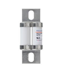 B099959 , BS217UT69V110,British Standard,Protistor® ,2x17x49 ,gR ,690VAC ,UL, 110A, MERSEN,FERRAZ SHAWMUT
