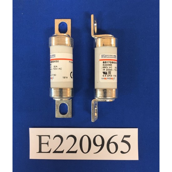 E220965,BS17GB69V50,BS88,690VAC,50A,FERRAZ 