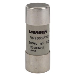 J219773,FR22GG50V125,Cylindrical, fuse-link, gG ,Size ,22x58, IEC ,500VAC, 125A,MERSEN,FERRAZ SHAWMUT