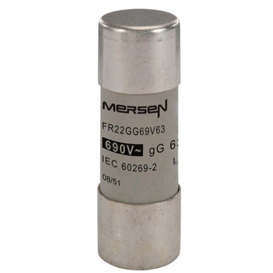 Y215646,FR22GG69V63,Cylindrical ,fuse-link ,gG ,Size ,22x58 ,IEC ,690VAC, 63A,MERSEN,FERRAZ SHAWMUT